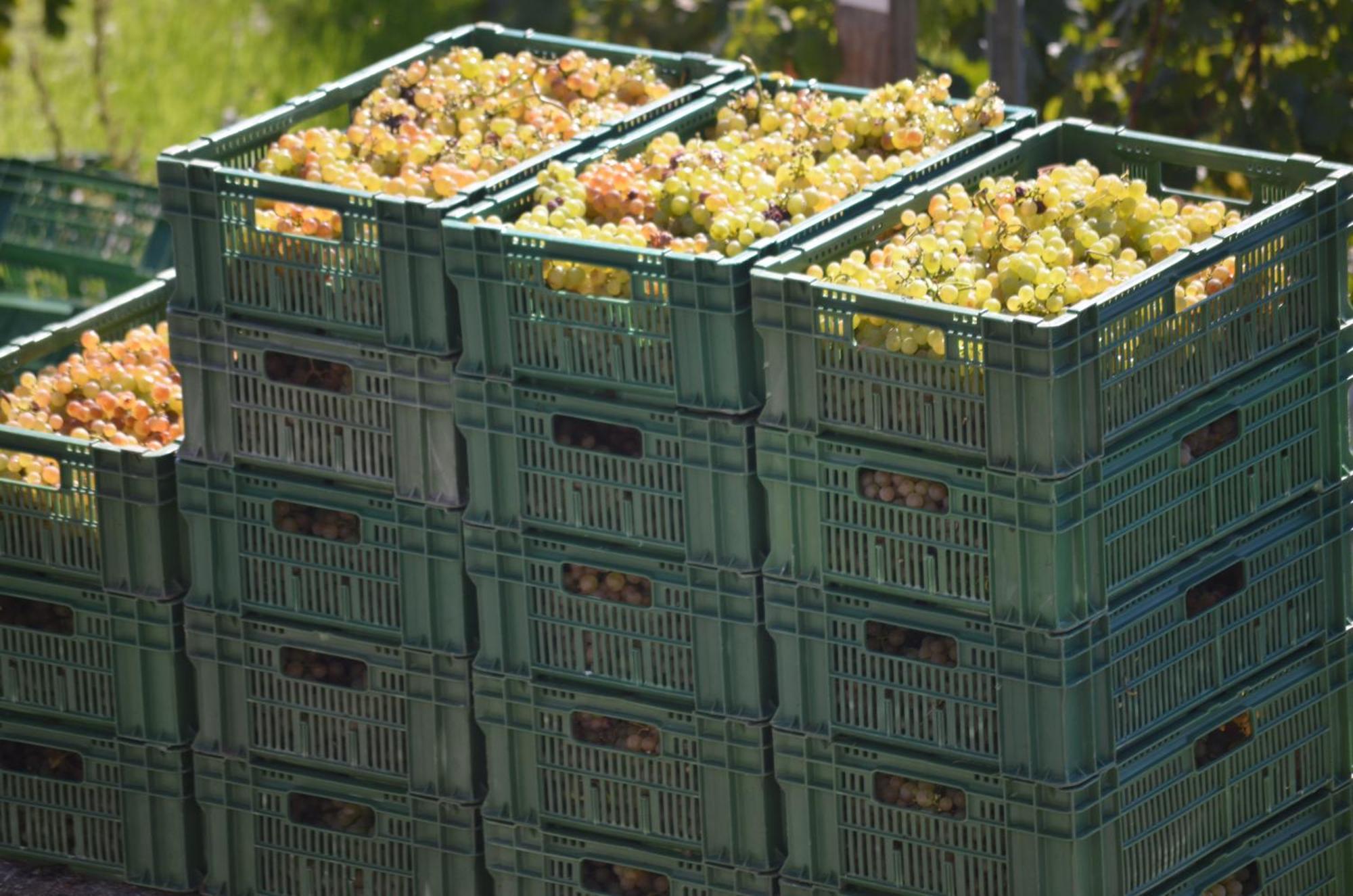 Gasthuis Domaine Du Burignon