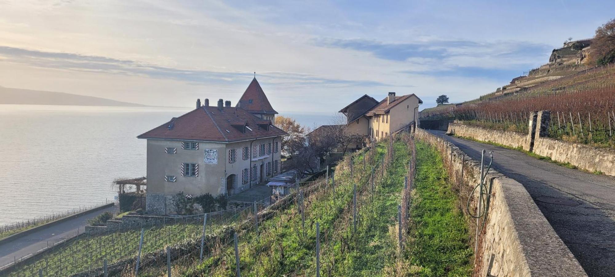 Domaine Du Burignon Saint-Saphorin
