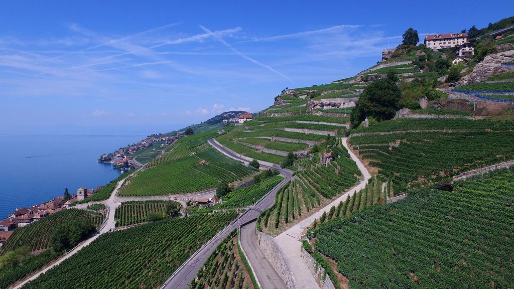 Domaine Du Burignon 3*