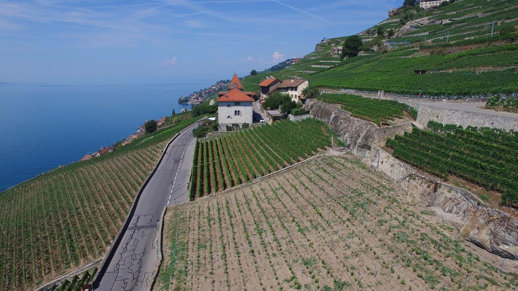Domaine Du Burignon 3* Saint-Saphorin