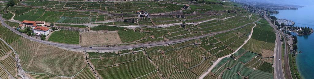 Domaine Du Burignon Pensión 3*